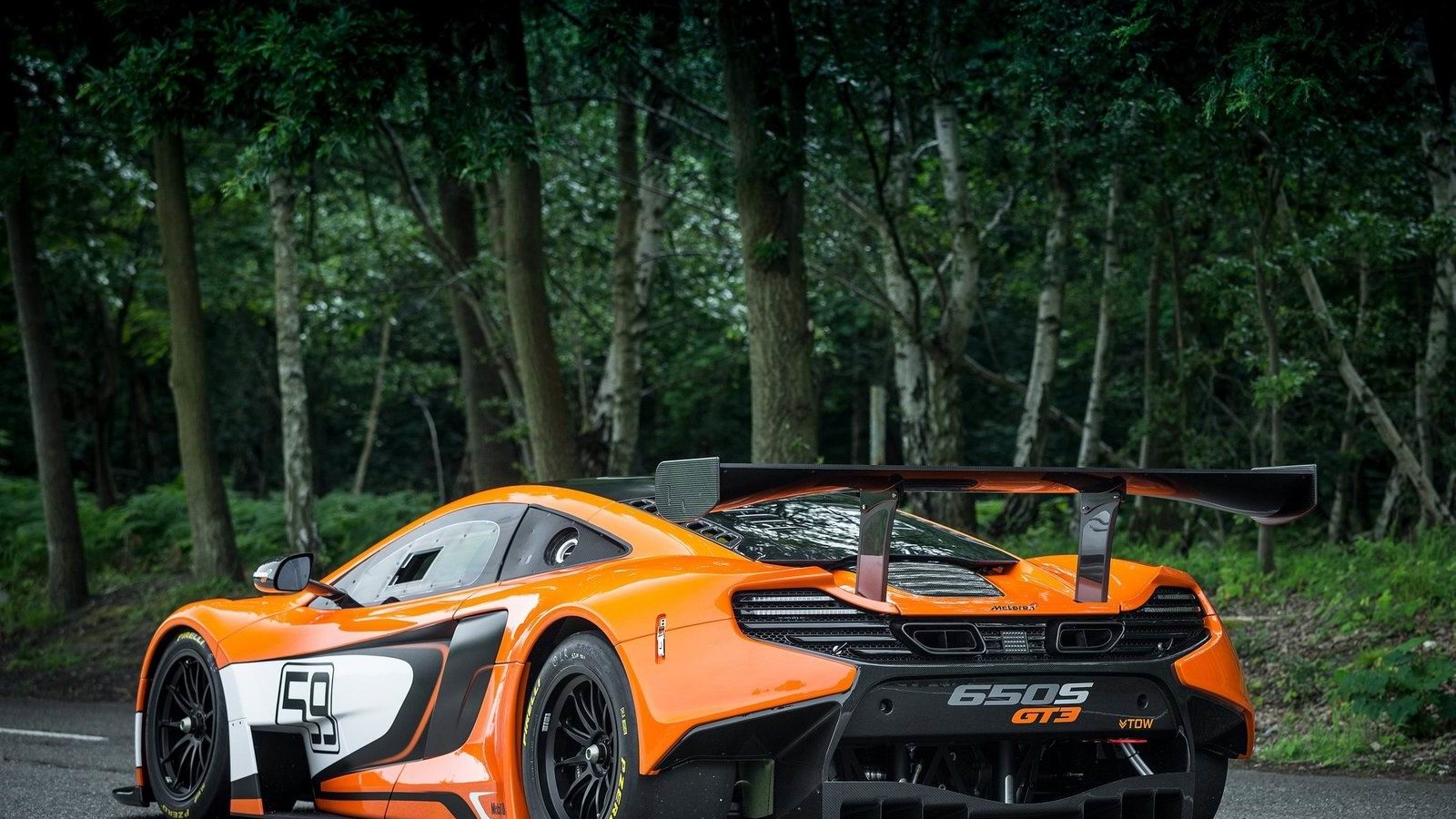 ܳ650S GT3ֽ(ͼ6)