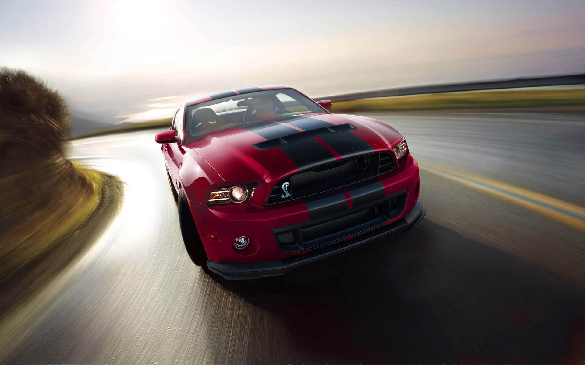 ҰShelby GT500ֽ(ͼ13)