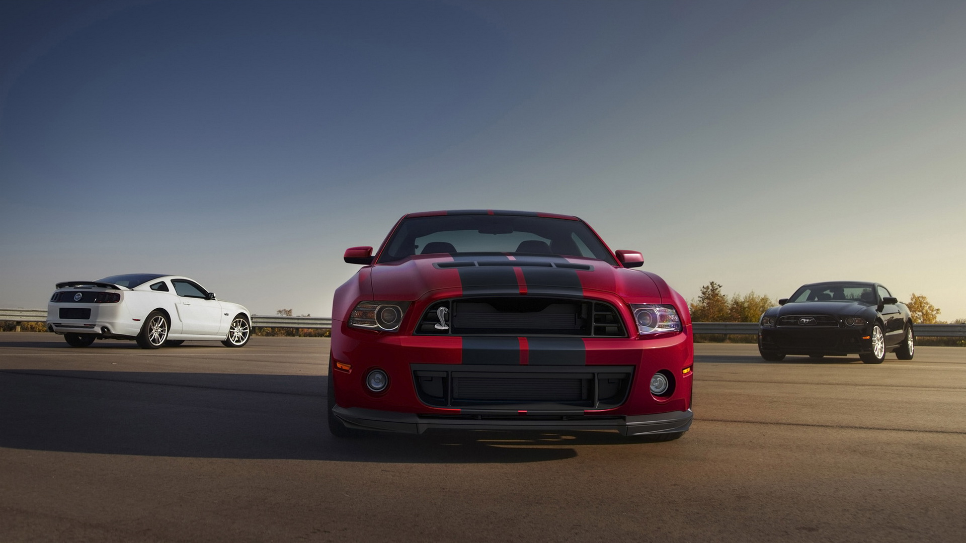 ҰShelby GT500ֽ(ͼ14)