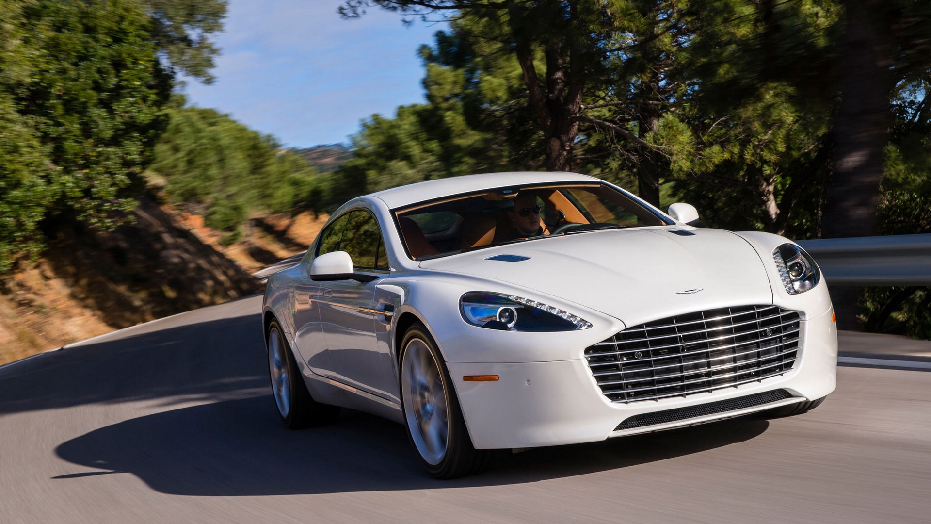 ˹١Rapide Sܳ羰ͼƬֽ(ͼ12)