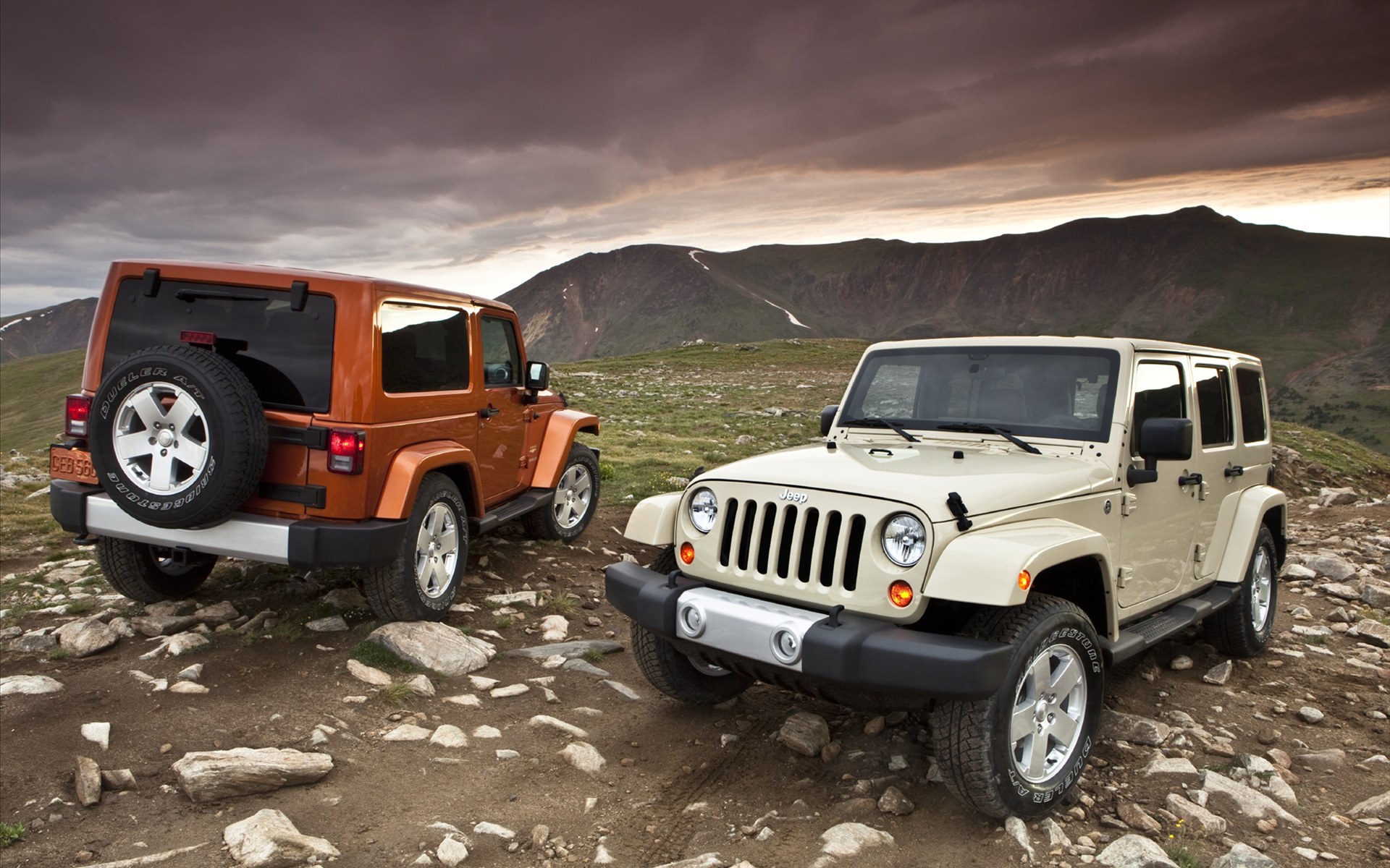 JEEP WranglerԸֽ(ͼ10)