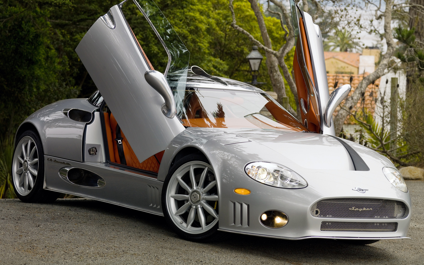 (SPYKER)ܳԸֽ(ͼ6)