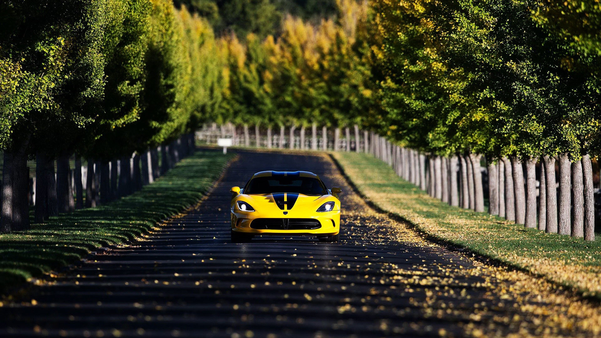 SRT Viper GTSܳ羰ֽ(ͼ5)