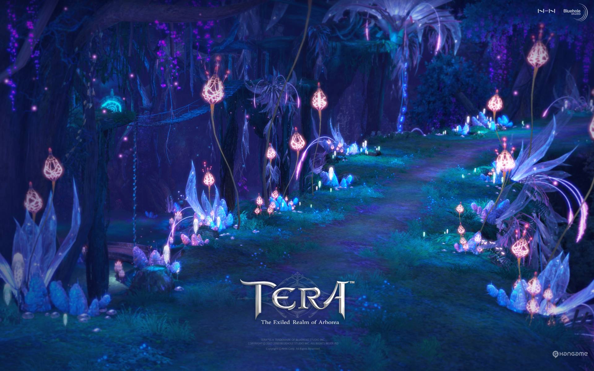 3DϷ֮ս TERAֽ(ͼ10)