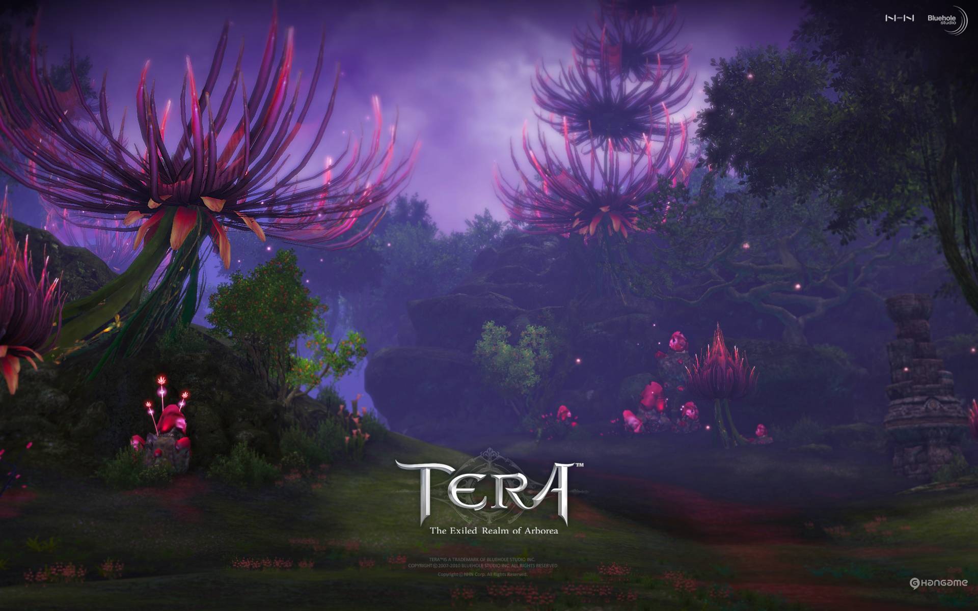 3DϷ֮ս TERAֽ(ͼ5)