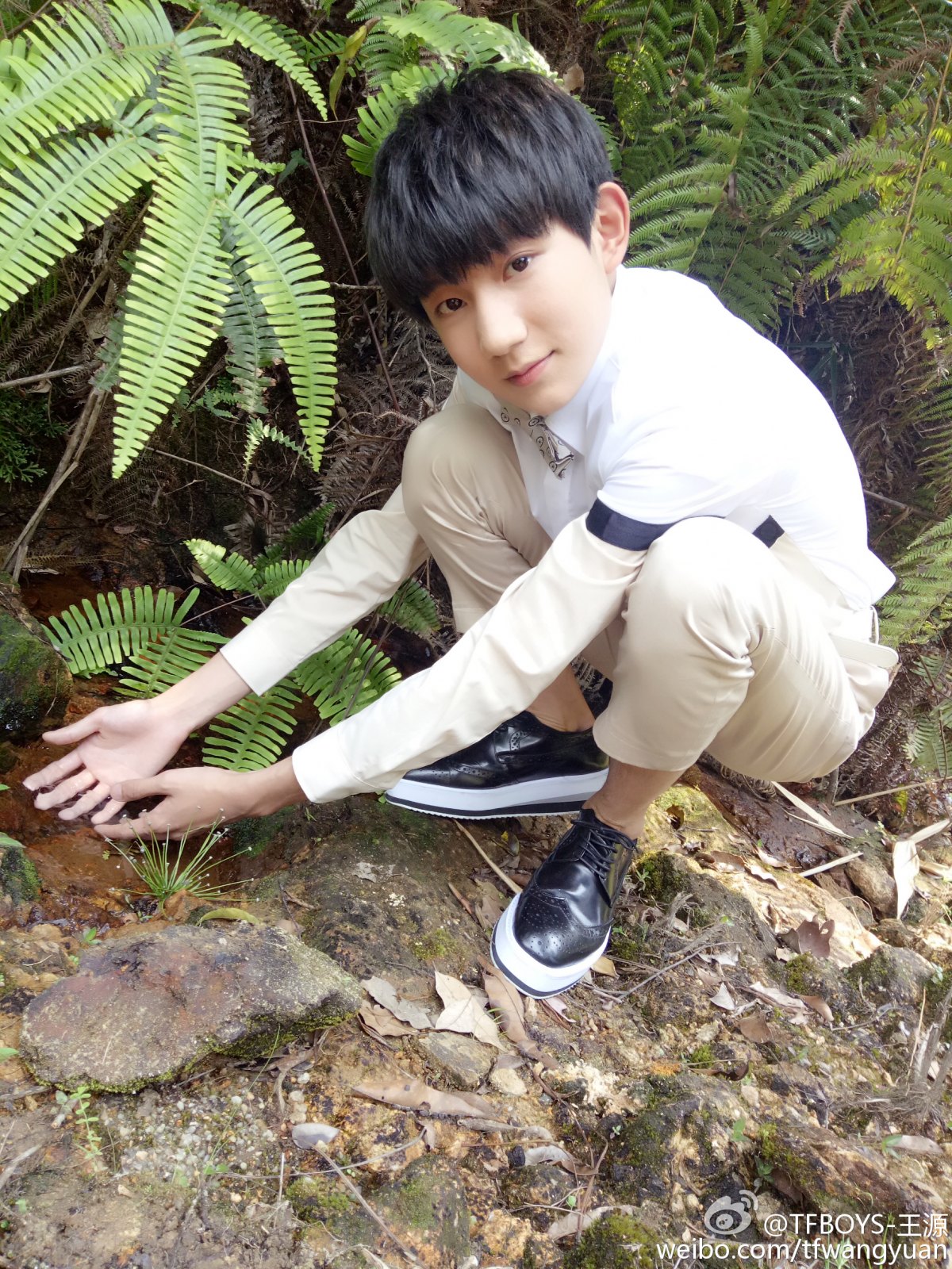 tfboysԴҵ߽ͼƬ(ͼ5)