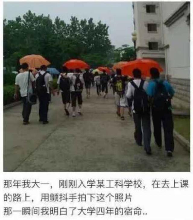 主人摇控器就是我咬的 你能拿我怎么样(图5)