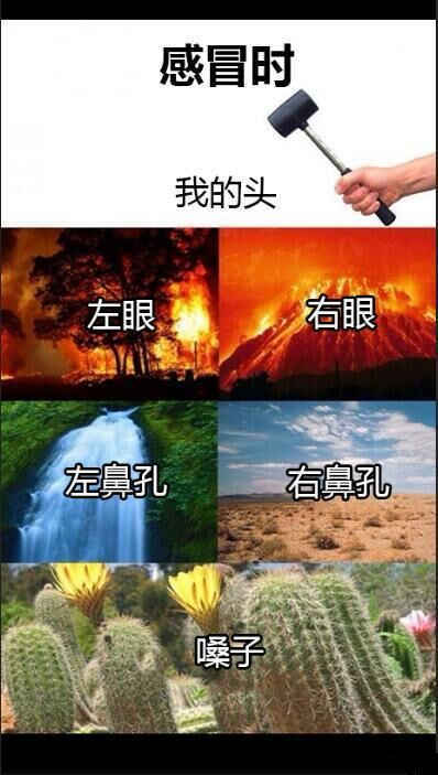 感冒时的感受 不能再形象(图1)