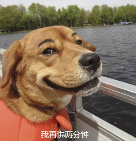 ʦЩͷƭô(ͼ5)