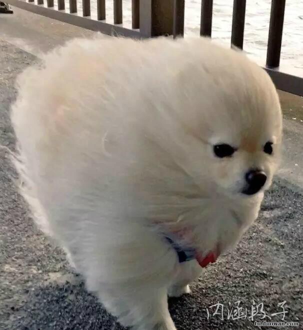 ѹҲ(ͼ4)