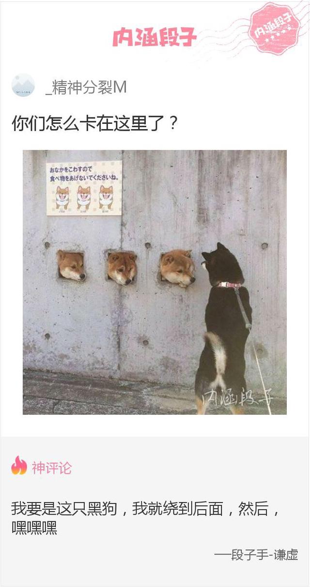 ˼ѧǹ ѧ(ͼ5)