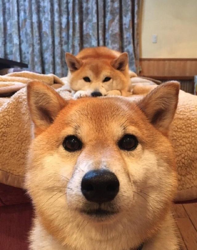 · Ω(ͼ2)