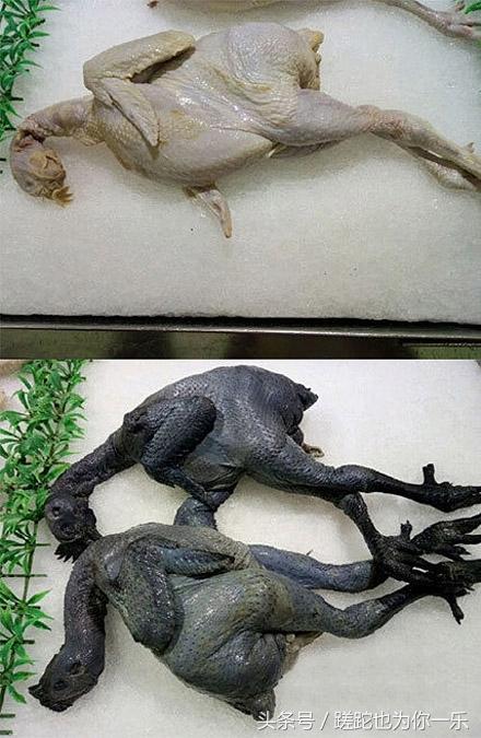 ŮѿҼҵķ ڶͺҽ(ͼ4)