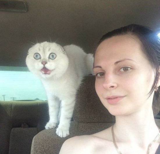 ϵϷҪ̫Ŷ(ͼ3)