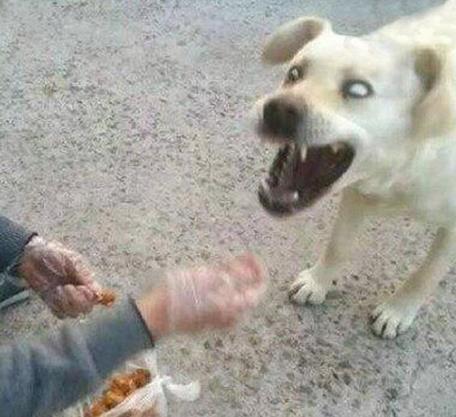 һμƲ ˭(ͼ4)