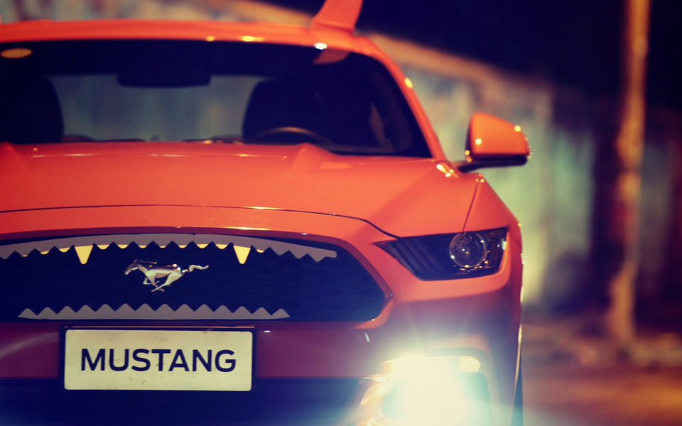 ҰMustangʥڸװֽ(ͼ4)