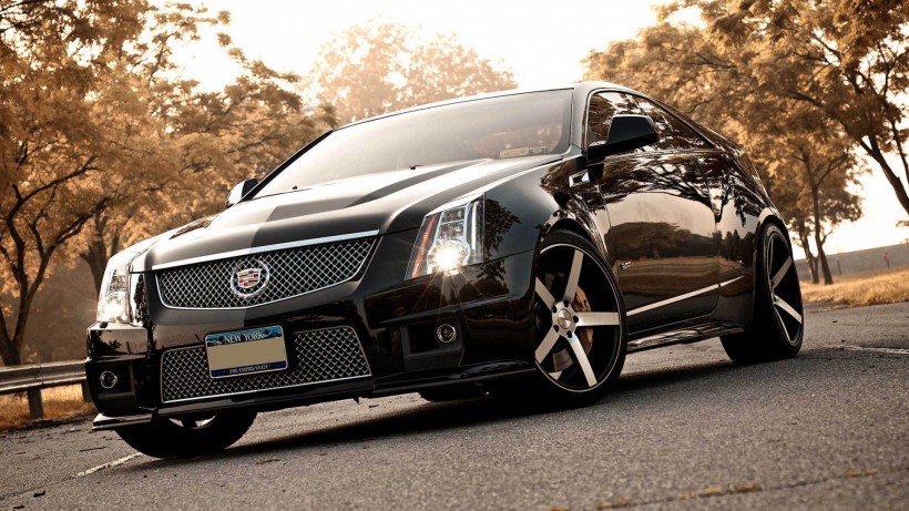 CTS-Vֽ(ͼ2)