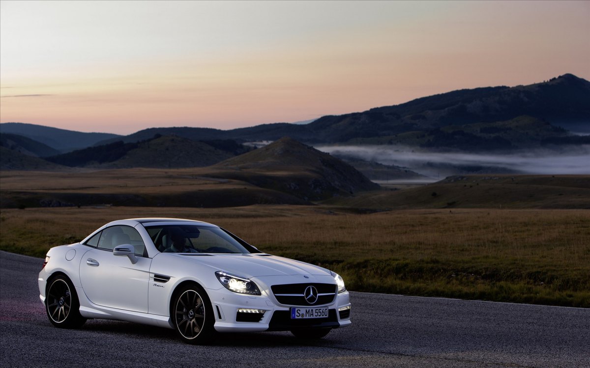 Roadster Mercedes-Benz SLK55 AMG(ͼ15)