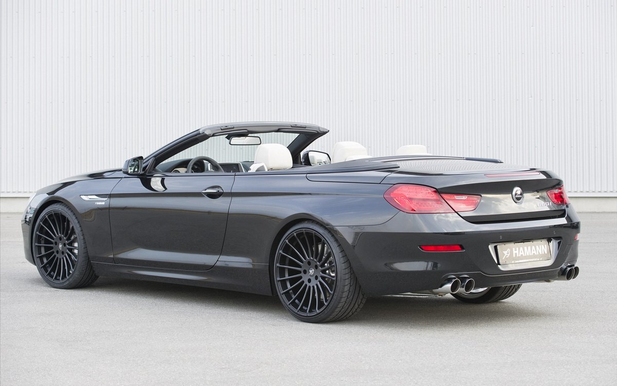 Hamannװ汦6ϵCabrio F12 ֽ(ͼ16)