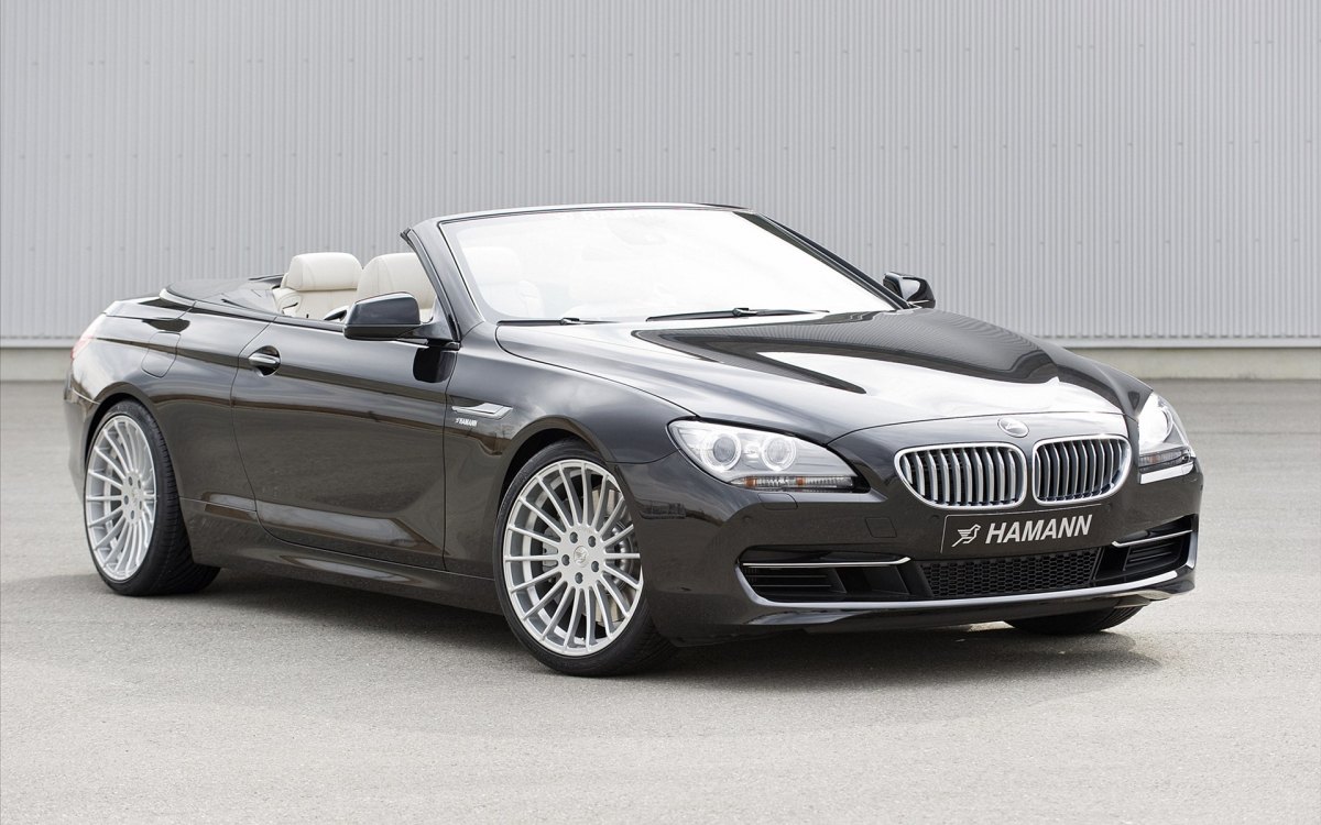 Hamannװ汦6ϵCabrio F12 ֽ(ͼ21)