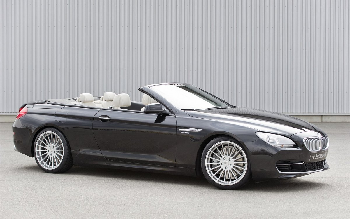 Hamannװ汦6ϵCabrio F12 ֽ(ͼ22)