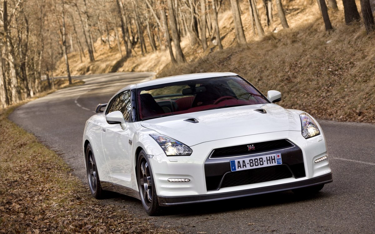 γ˱ѧ Nissan GT-R Egoist ֽ(ͼ11)