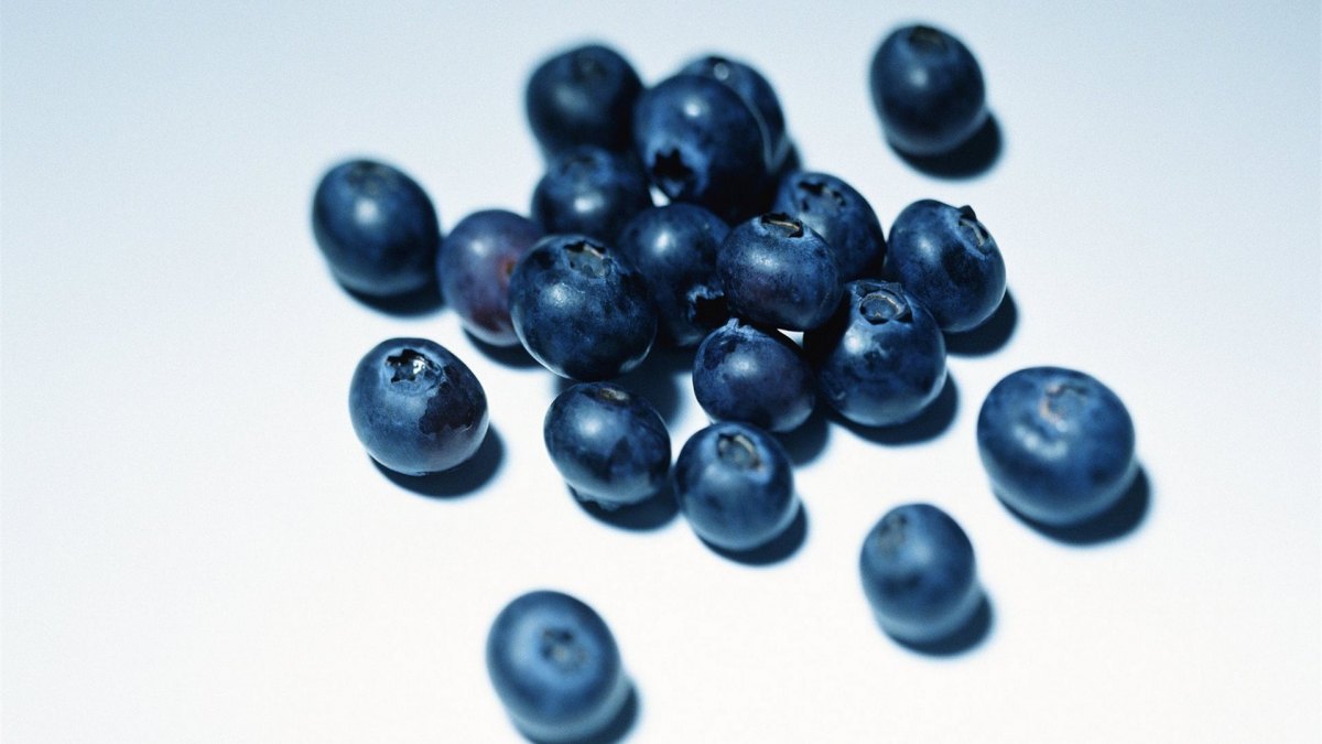 ˿ˮݮBlueberryΨֽͼ