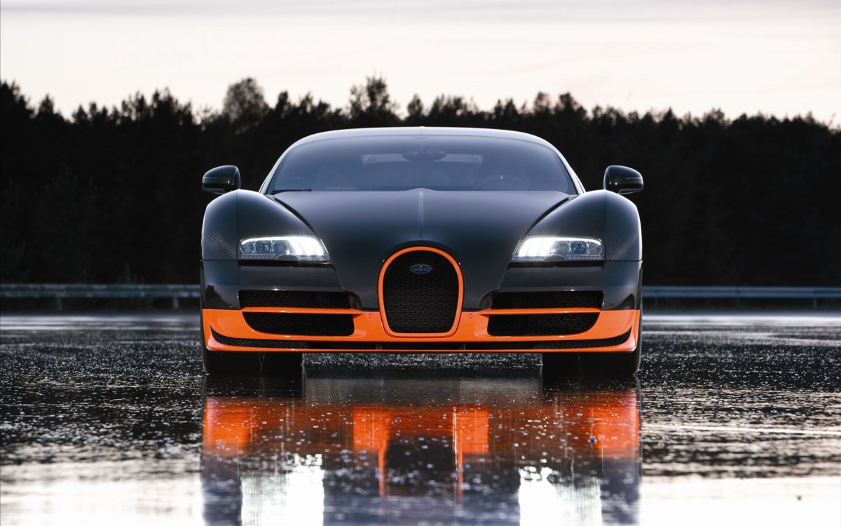 Bugatti Veyron(ӵ) 16.4 Super Sports Car(ͼ15)