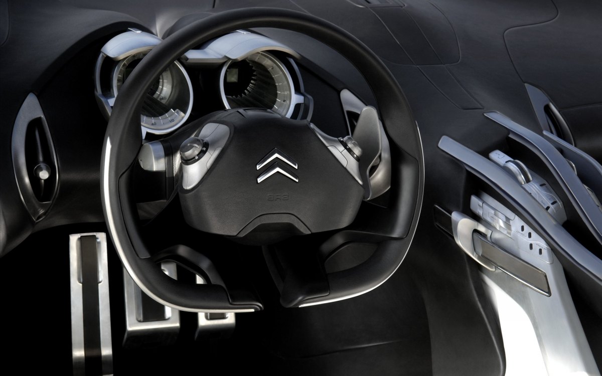 ѩ Citroen C-Metisse Conceptֽ(ͼ18)