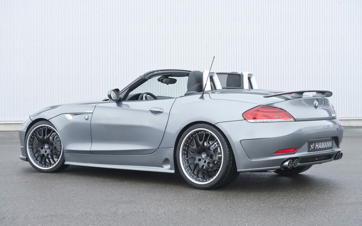 Hamann BMW Z4 E89ֽ(ͼ13)