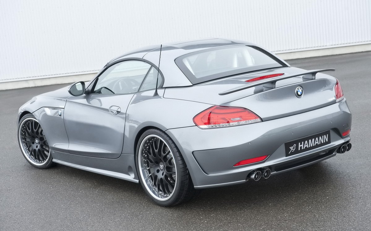 Hamann BMW Z4 E89ֽ(ͼ14)