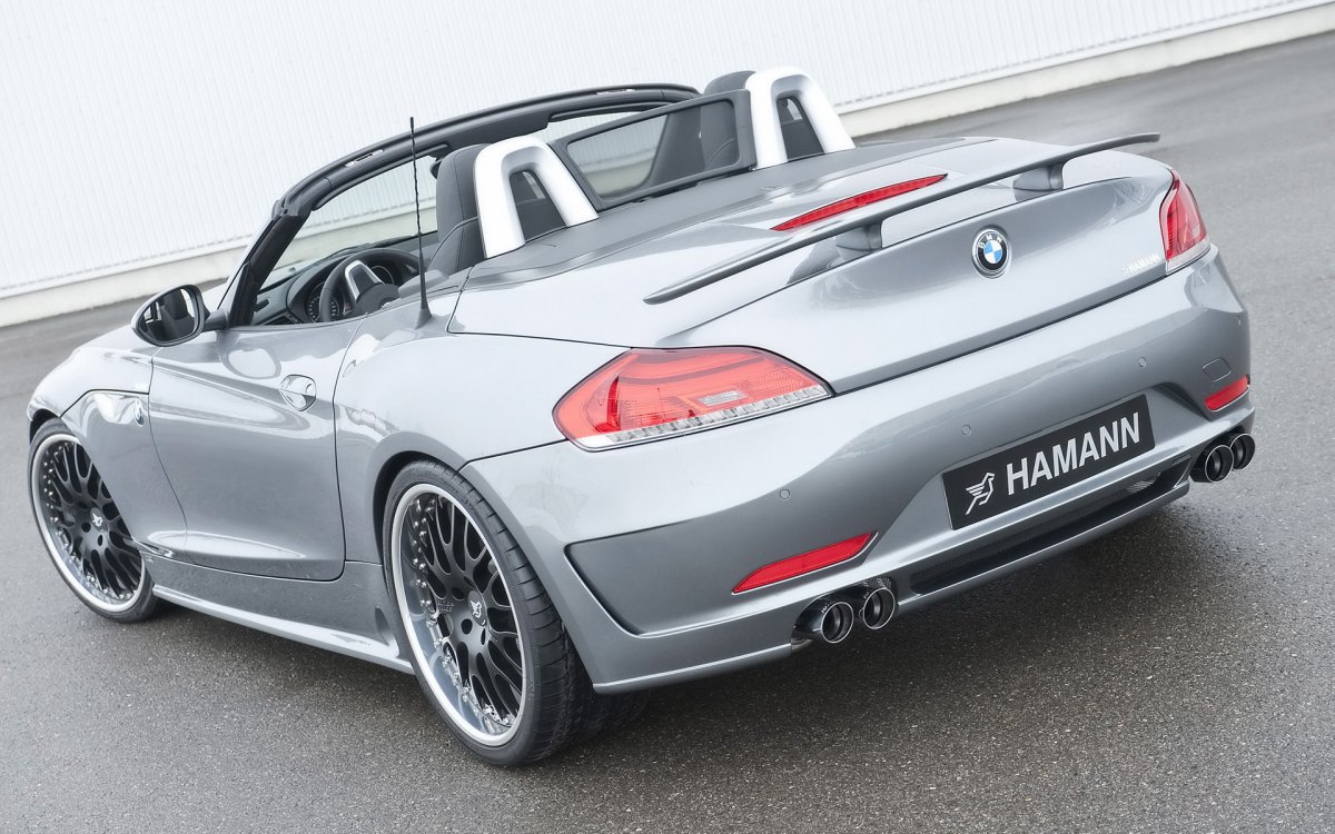 Hamann BMW Z4 E89ֽ(ͼ15)