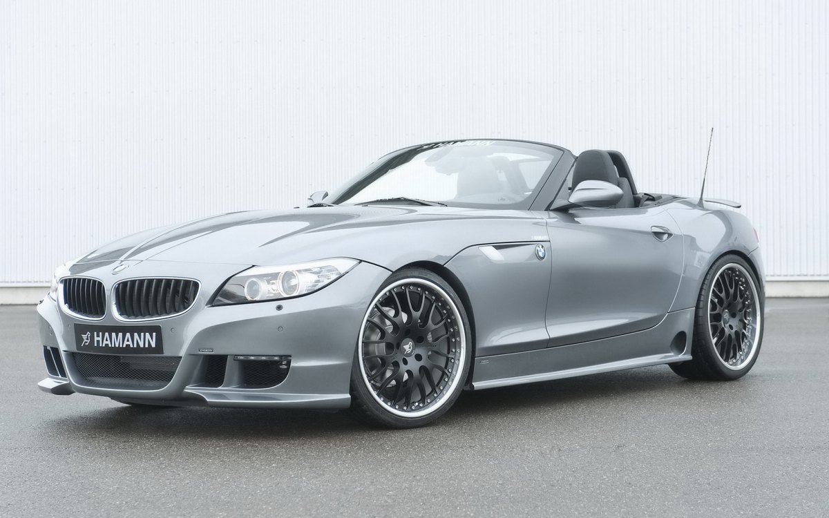 Hamann BMW Z4 E89ֽ(ͼ2)