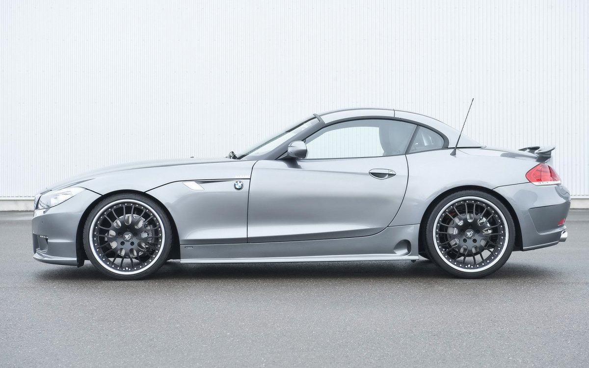 Hamann BMW Z4 E89ֽ(ͼ20)