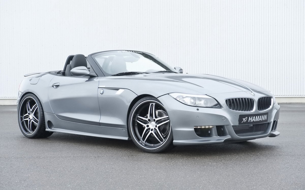 Hamann BMW Z4 E89ֽ(ͼ3)