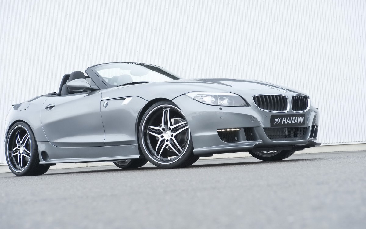 Hamann BMW Z4 E89ֽ(ͼ4)