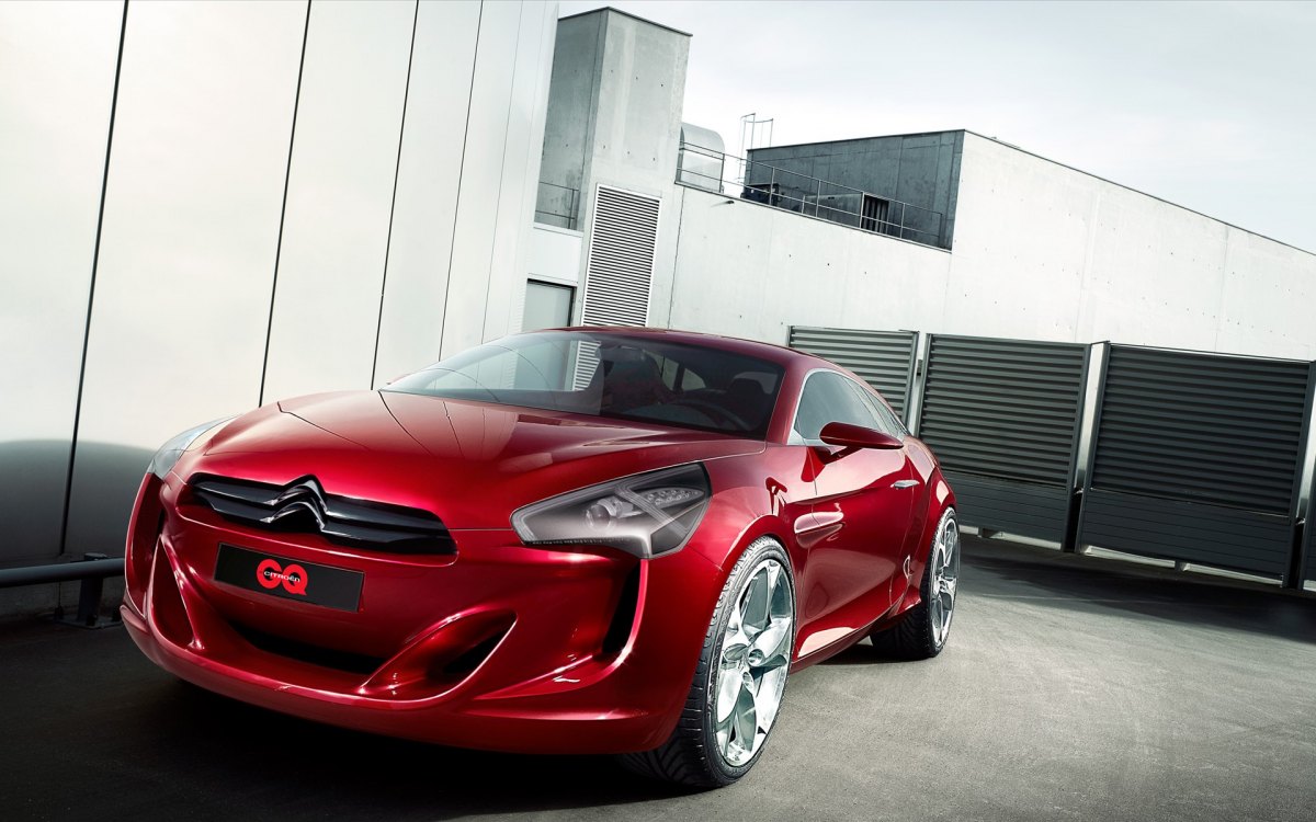 Gqbycitroen(ѩ) Concept Car ֽ(ͼ10)