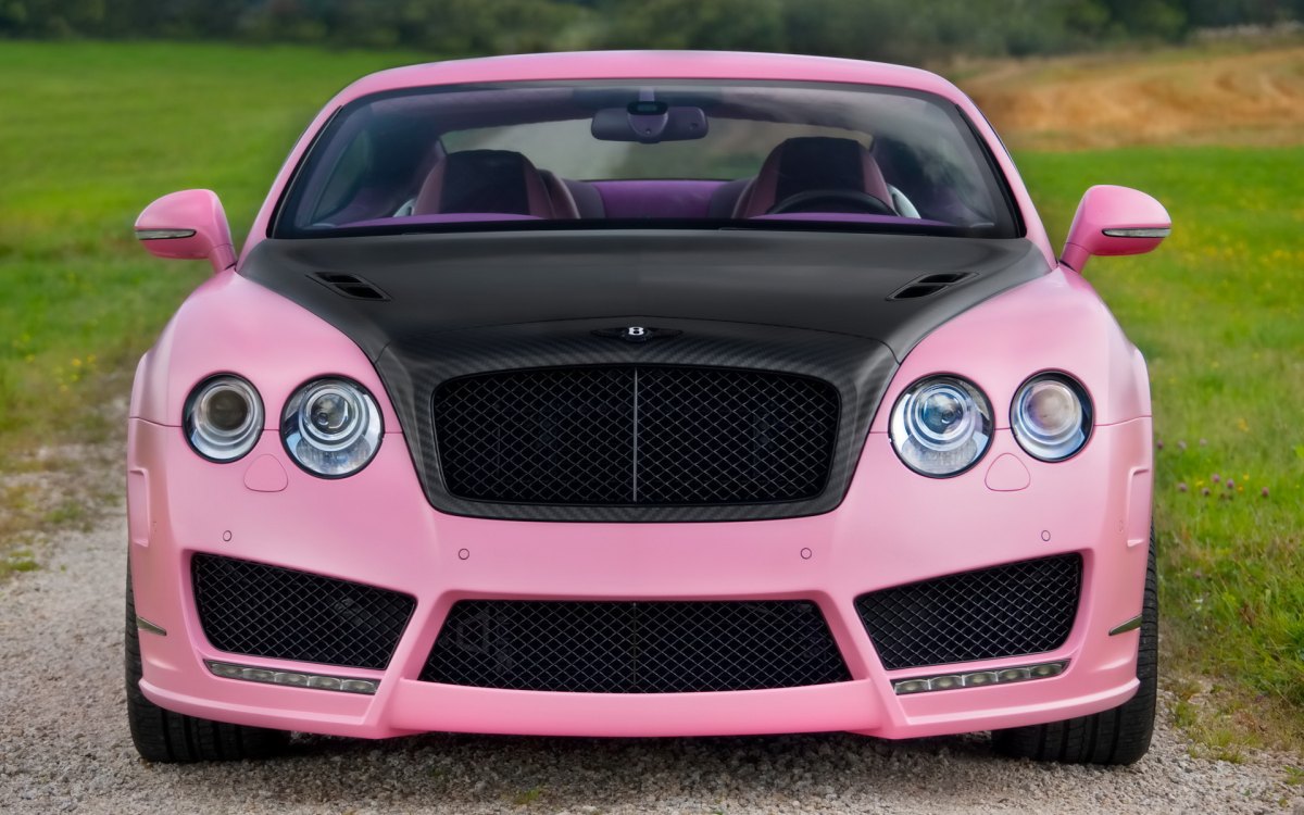 Mansory Bentley Vitesse RoseMansoryװۺˣ(ͼ4)