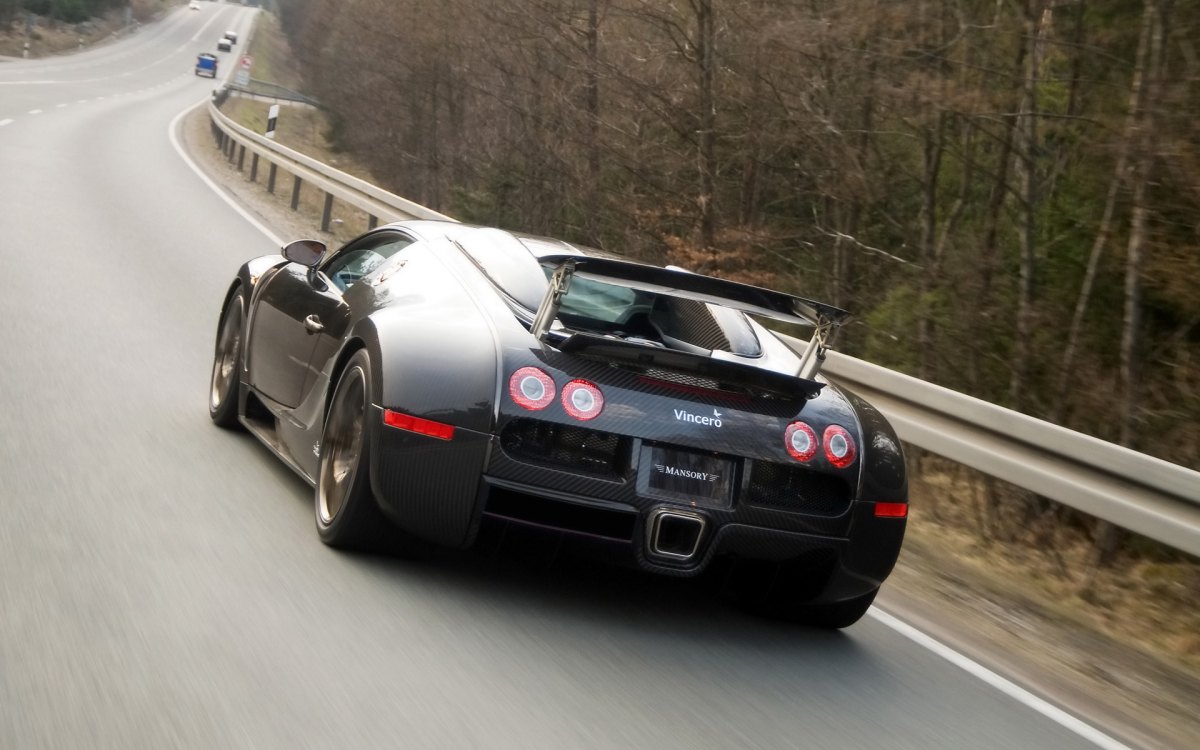 ȫ̼˰沼ӵMansory Bugatti Veyron Linea Vincero(ͼ23)