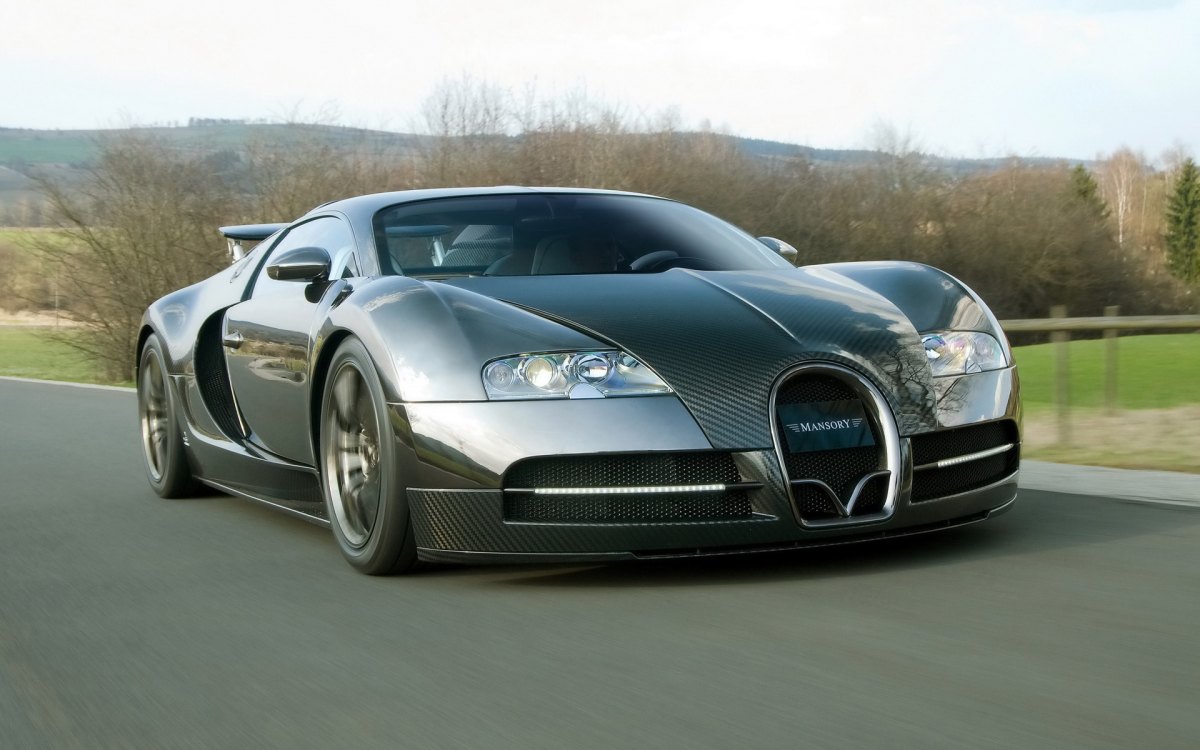 ȫ̼˰沼ӵMansory Bugatti Veyron Linea Vincero(ͼ9)