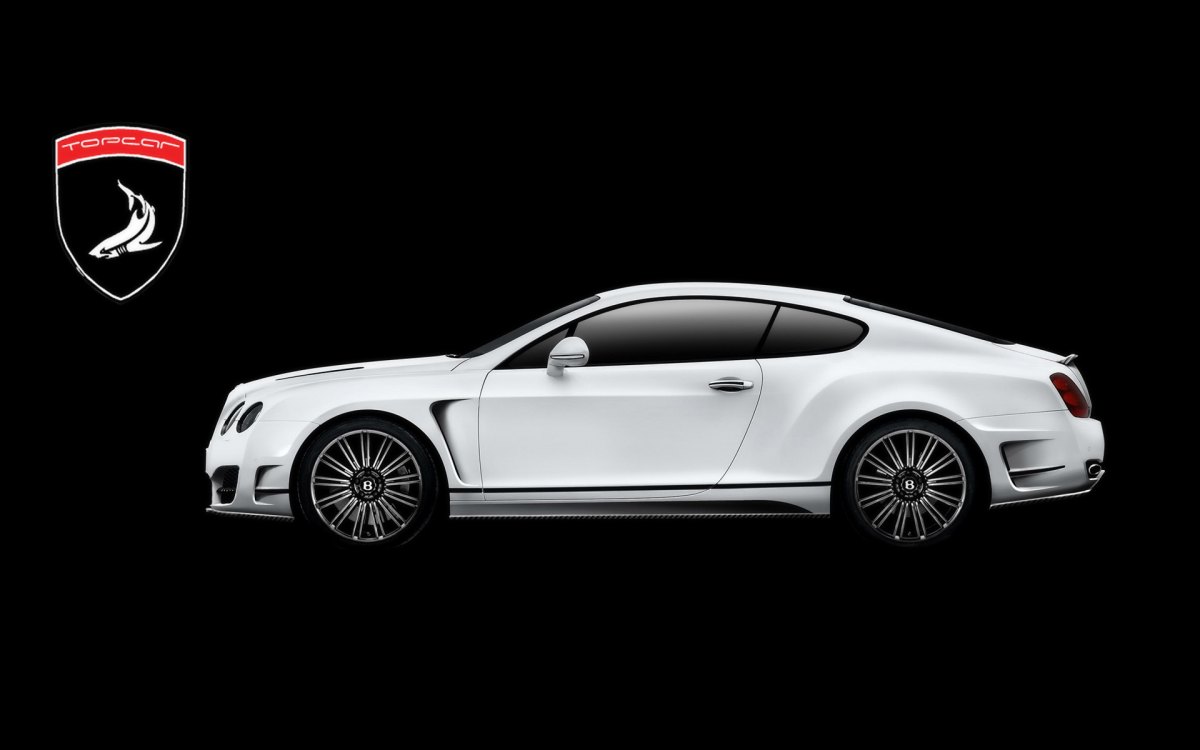 ܳTopCar Bentley Continental GT Bullet(ͼ12)