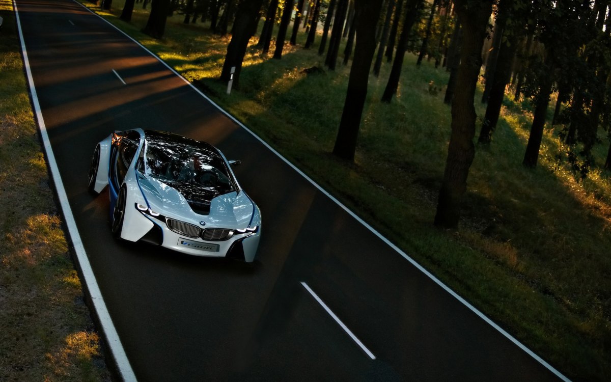 BMW Vision EfficientDynamicsֽ(ͼ11)