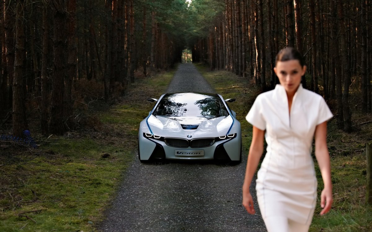 BMW Vision EfficientDynamicsֽ(ͼ15)