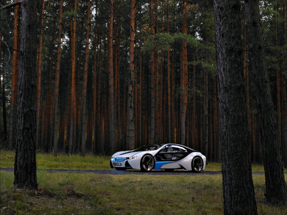 BMW Vision EfficientDynamicsֽ