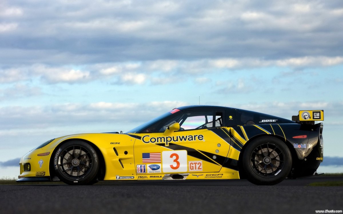 ѩGT2ܳ(Chevrolet Corvette C6.R GT2)(ͼ14)