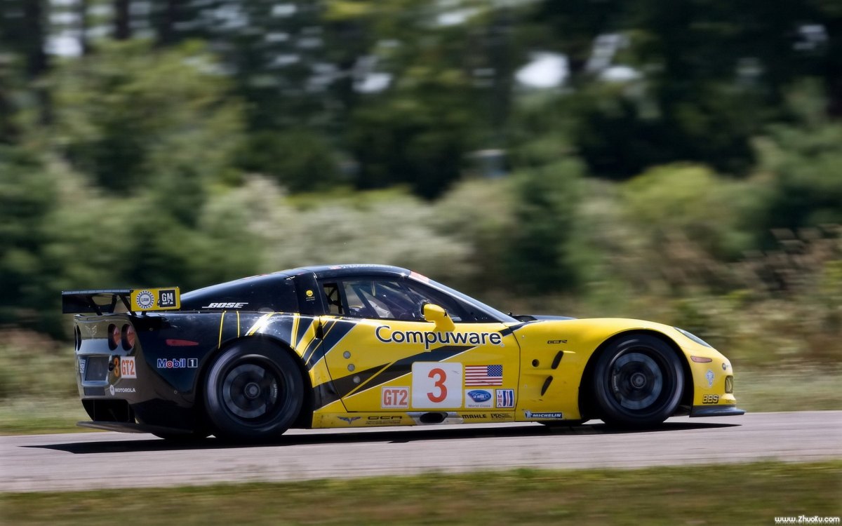 ѩGT2ܳ(Chevrolet Corvette C6.R GT2)(ͼ15)