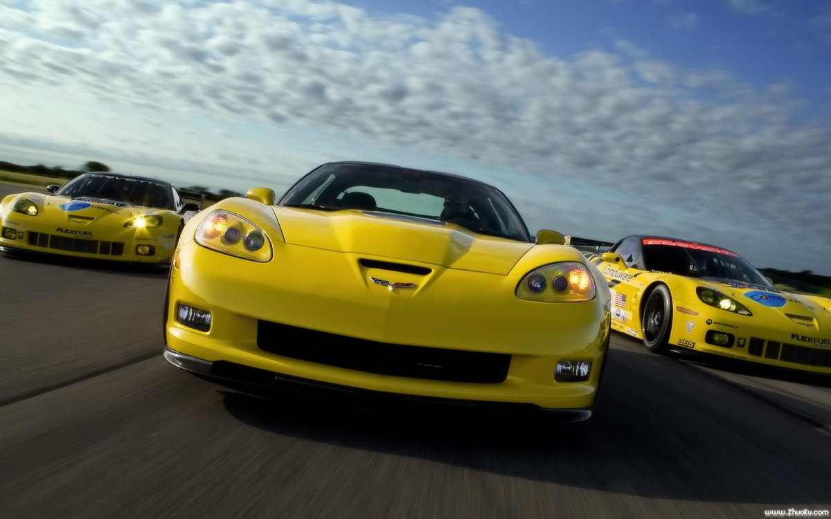 ѩGT2ܳ(Chevrolet Corvette C6.R GT2)(ͼ17)