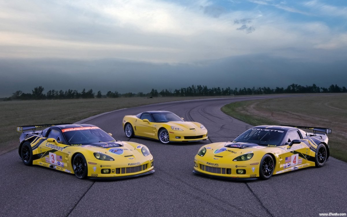 ѩGT2ܳ(Chevrolet Corvette C6.R GT2)(ͼ18)