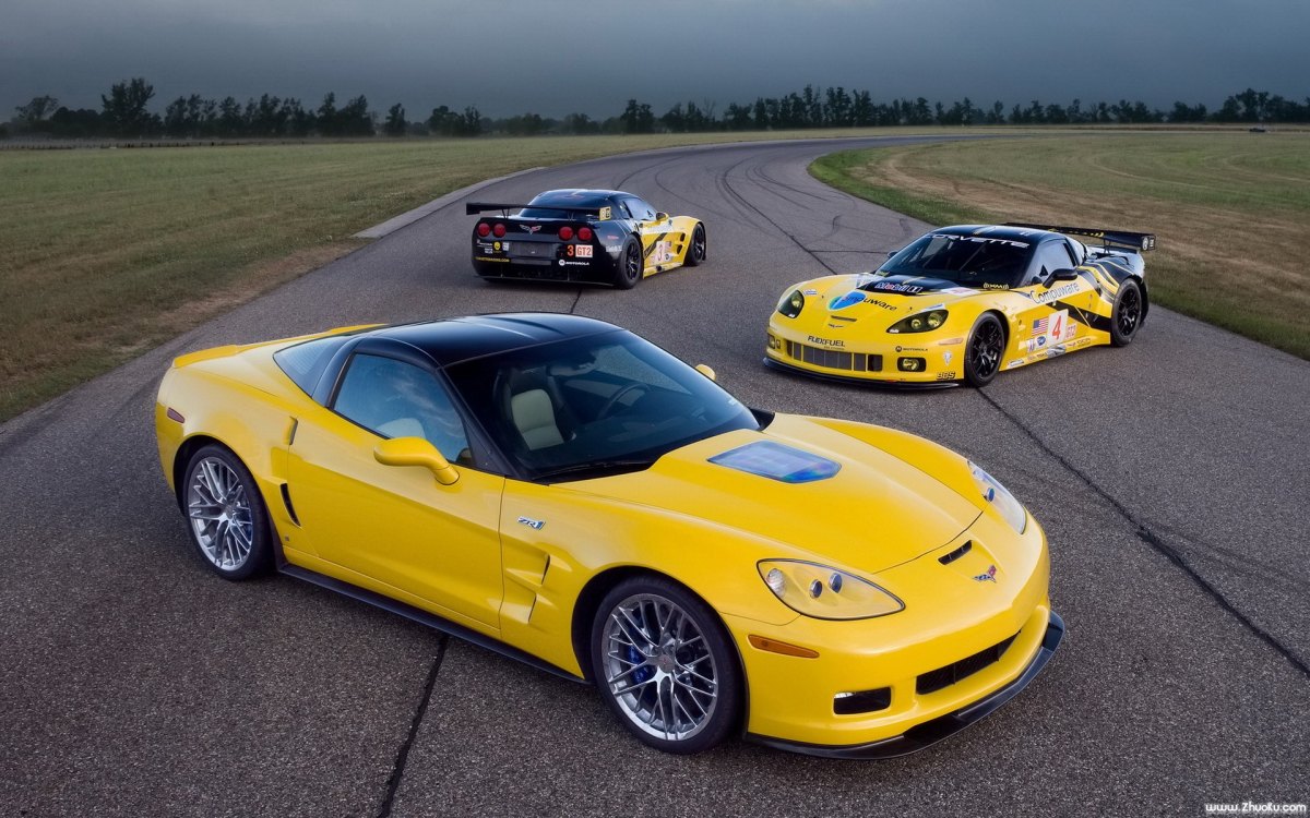 ѩGT2ܳ(Chevrolet Corvette C6.R GT2)(ͼ19)