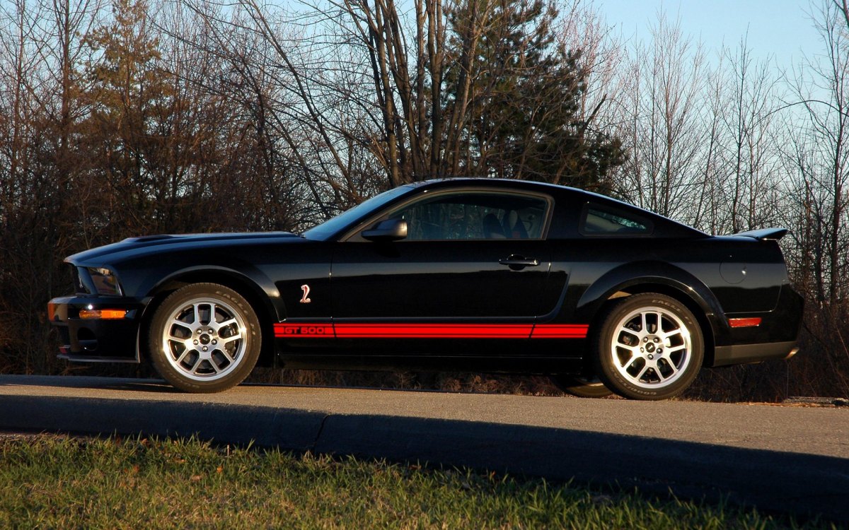 ҰShelby GT500ͼƬֽ(ͼ4)